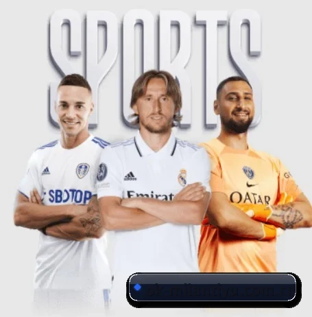 平台简介 - 体育资讯内容服务 | MILANSPORT